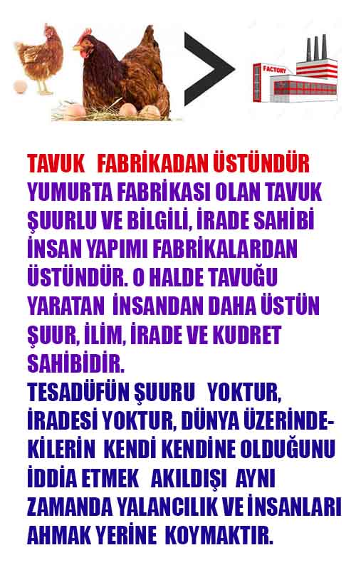 ALLAH, allah-delilleri, allahin-delilleri, allahin delilleri, allah in varlığının delilleri, allahin varlığınin delilleri, allah var, @allahvar, @allah-delilleri