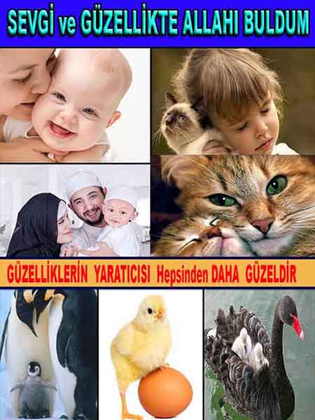ALLAH, allah-delilleri, allahin-delilleri, allahin delilleri, allah in varlığının delilleri, allahin varlığınin delilleri, allah var, @allahvar, @allah-delilleri