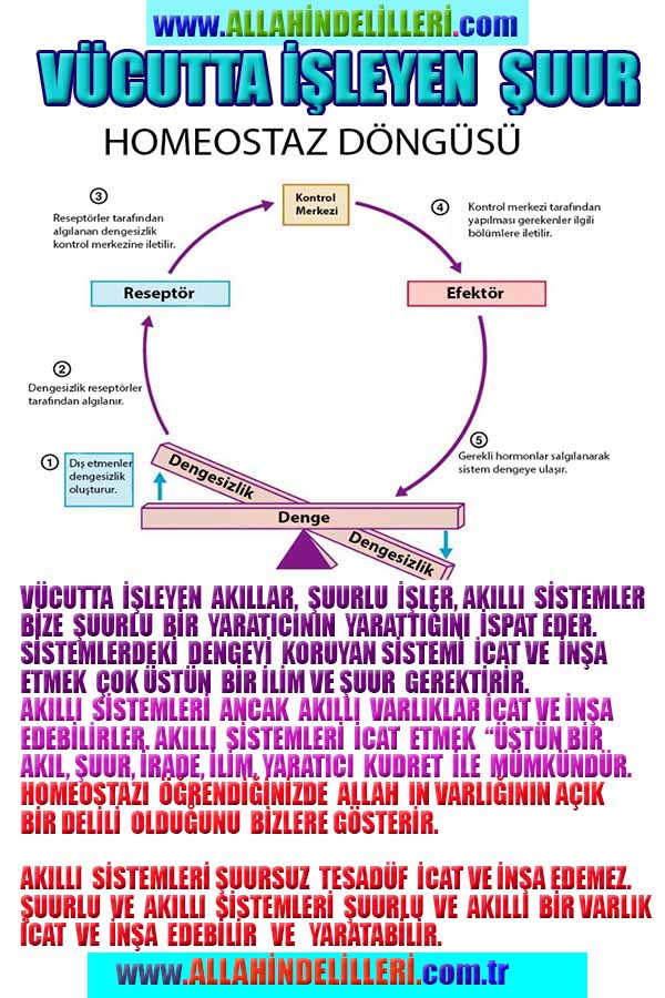 ALLAH, allah-delilleri, allahin-delilleri, allahin delilleri, allah in varlığının delilleri, allahin varlığınin delilleri, allah var, @allahvar, @allah-delilleri