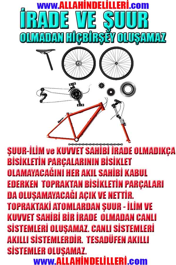 ALLAH, allah-delilleri, allahin-delilleri, allahin delilleri, allah in varlığının delilleri, allahin varlığınin delilleri, allah var, @allahvar, @allah-delilleri