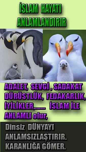 ALLAH, allah-delilleri, allahin-delilleri, allahin delilleri, allah in varlığının delilleri, allahin varlığınin delilleri, allah var, @allahvar, @allah-delilleri