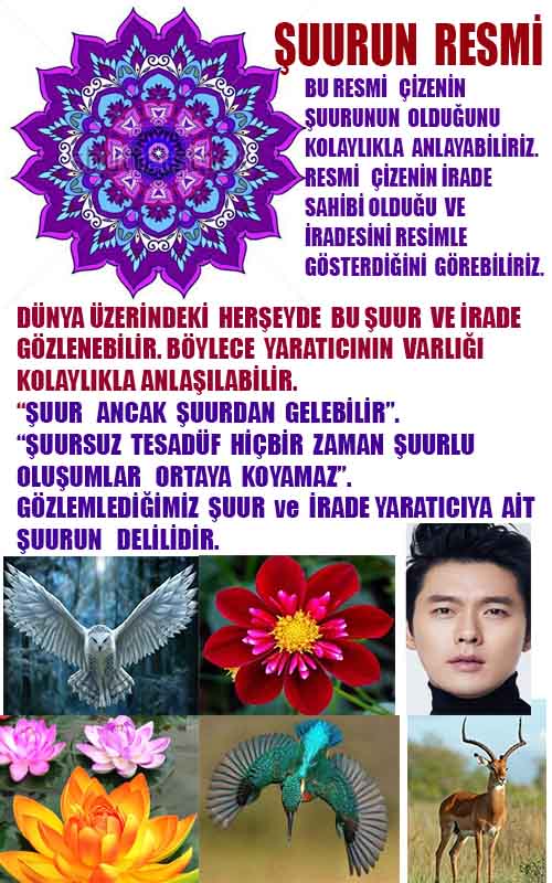 ALLAH, allah-delilleri, allahin-delilleri, allahin delilleri, allah in varlığının delilleri, allahin varlığınin delilleri, allah var, @allahvar, @allah-delilleri