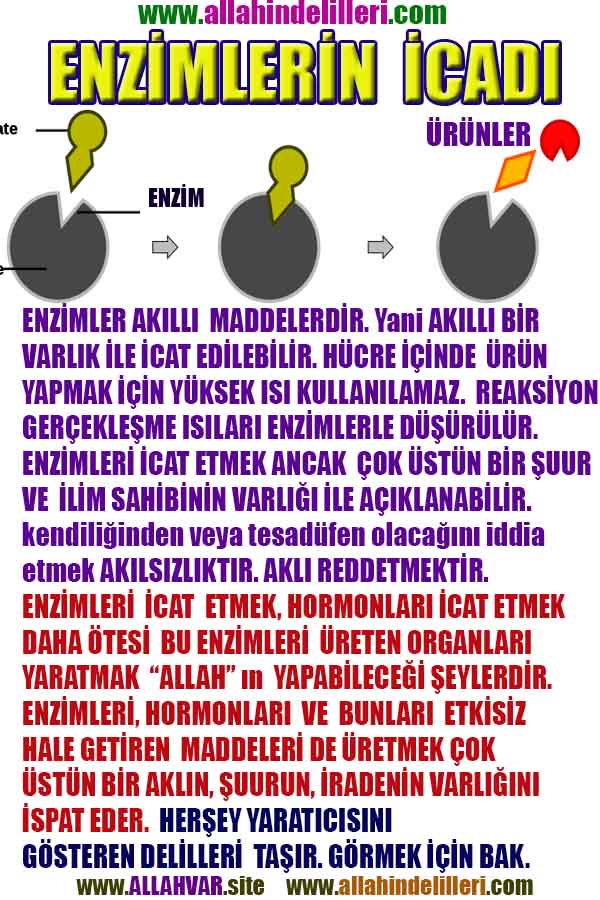 ALLAH, allah-delilleri, allahin-delilleri, allahin delilleri, allah in varlığının delilleri, allahin varlığınin delilleri, allah var, @allahvar, @allah-delilleri