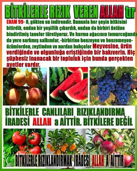 ALLAH, allah-delilleri, allahin-delilleri, allahin delilleri, allah in varlığının delilleri, allahin varlığınin delilleri, allah var, @allahvar, @allah-delilleri