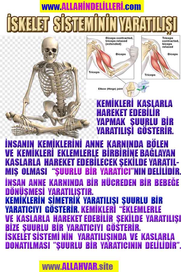 ALLAH, allah-delilleri, allahin-delilleri, allahin delilleri, allah in varlığının delilleri, allahin varlığınin delilleri, allah var, @allahvar, @allah-delilleri