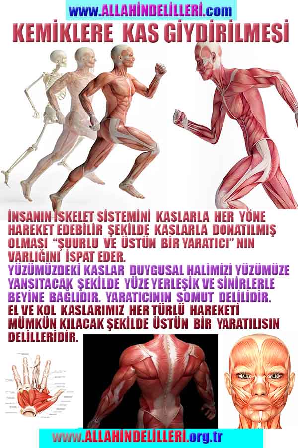 ALLAH, allah-delilleri, allahin-delilleri, allahin delilleri, allah in varlığının delilleri, allahin varlığınin delilleri, allah var, @allahvar, @allah-delilleri