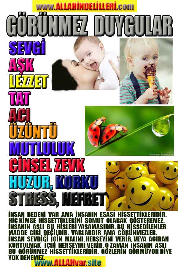 ALLAH, allah-delilleri, allahin-delilleri, allahin delilleri, allah in varlığının delilleri, allahin varlığınin delilleri, allah var, @allahvar, @allah-delilleri