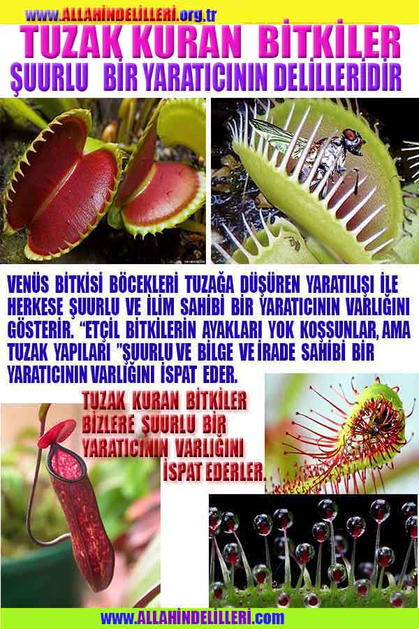 ALLAH, allah-delilleri, allahin-delilleri, allahin delilleri, allah in varlığının delilleri, allahin varlığınin delilleri, allah var, @allahvar, @allah-delilleri