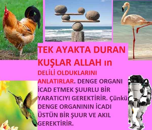 ALLAH, allah-delilleri, allahin-delilleri, allahin delilleri, allah in varlığının delilleri, allahin varlığınin delilleri, allah var, @allahvar, @allah-delilleri