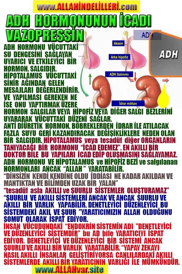 ALLAH, allah-delilleri, allahin-delilleri, allahin delilleri, allah in varlığının delilleri, allahin varlığınin delilleri, allah var, @allahvar, @allah-delilleri
