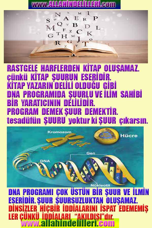 ALLAH, allah-delilleri, allahin-delilleri, allahin delilleri, allah in varlığının delilleri, allahin varlığınin delilleri, allah var, @allahvar, @allah-delilleri