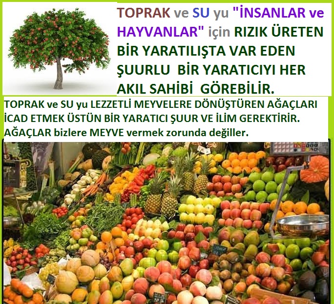 ALLAH, allah-delilleri, allahin-delilleri, allahin delilleri, allah in varlığının delilleri, allahin varlığınin delilleri, allah var, @allahvar, @allah-delilleri