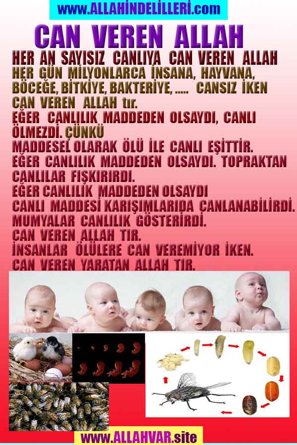 ALLAH, allah-delilleri, allahin-delilleri, allahin delilleri, allah in varlığının delilleri, allahin varlığınin delilleri, allah var, @allahvar, @allah-delilleri