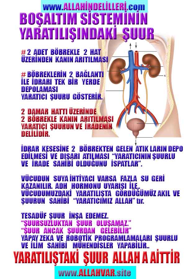 ALLAH, allah-delilleri, allahin-delilleri, allahin delilleri, allah in varlığının delilleri, allahin varlığınin delilleri, allah var, @allahvar, @allah-delilleri