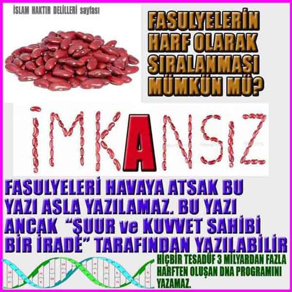 ALLAH, allah-delilleri, allahin-delilleri, allahin delilleri, allah in varlığının delilleri, allahin varlığınin delilleri, allah var, @allahvar, @allah-delilleri