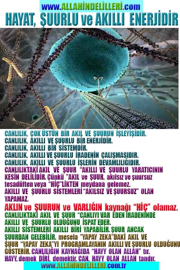ALLAH, allah-delilleri, allahin-delilleri, allahin delilleri, allah in varlığının delilleri, allahin varlığınin delilleri, allah var, @allahvar, @allah-delilleri