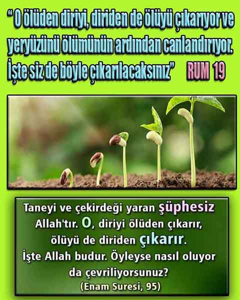 ALLAH, allah-delilleri, allahin-delilleri, allahin delilleri, allah in varlığının delilleri, allahin varlığınin delilleri, allah var, @allahvar, @allah-delilleri