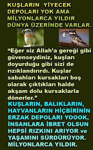 ALLAH, allah-delilleri, allahin-delilleri, allahin delilleri, allah in varlığının delilleri, allahin varlığınin delilleri, allah var, @allahvar, @allah-delilleri