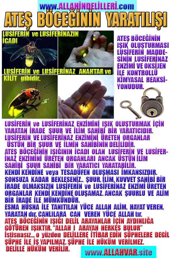 ALLAH, allah-delilleri, allahin-delilleri, allahin delilleri, allah in varlığının delilleri, allahin varlığınin delilleri, allah var, @allahvar, @allah-delilleri