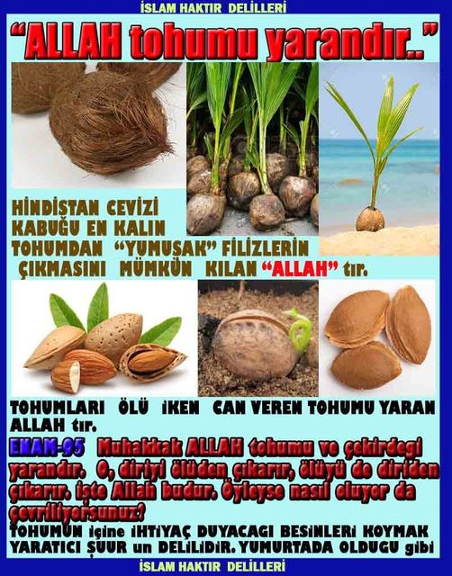ALLAH, allah-delilleri, allahin-delilleri, allahin delilleri, allah in varlığının delilleri, allahin varlığınin delilleri, allah var, @allahvar, @allah-delilleri