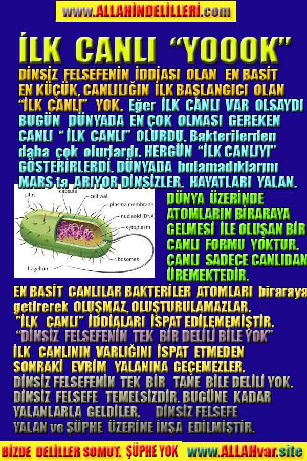 ALLAH, allah-delilleri, allahin-delilleri, allahin delilleri, allah in varlığının delilleri, allahin varlığınin delilleri, allah var, @allahvar, @allah-delilleri
