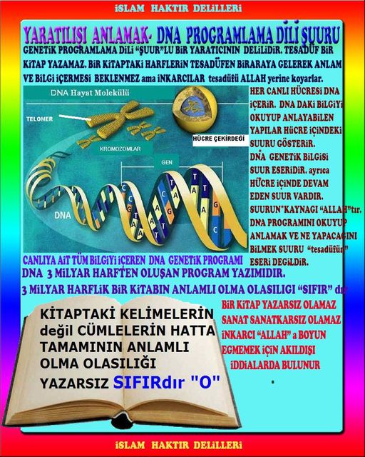 ALLAH, allah-delilleri, allahin-delilleri, allahin delilleri, allah in varlığının delilleri, allahin varlığınin delilleri, allah var, @allahvar, @allah-delilleri