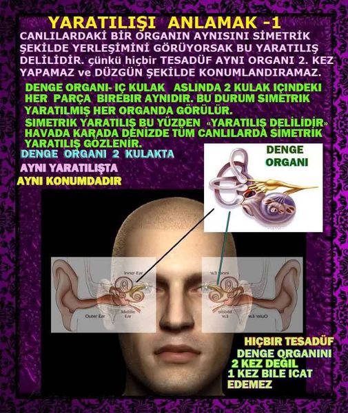 ALLAH, allah-delilleri, allahin-delilleri, allahin delilleri, allah in varlığının delilleri, allahin varlığınin delilleri, allah var, @allahvar, @allah-delilleri