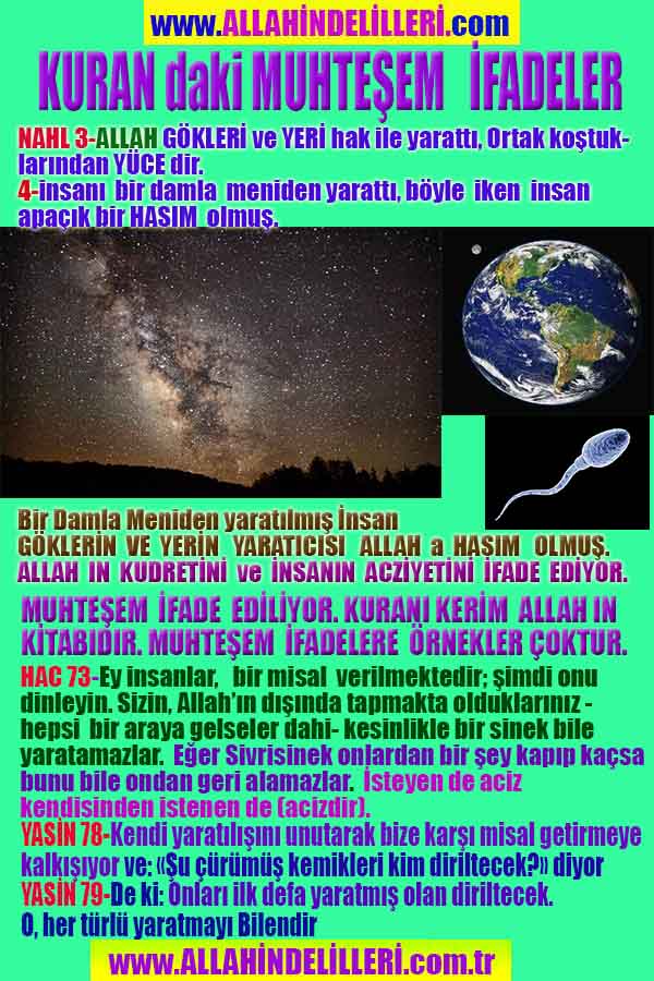 ALLAH, allah-delilleri, allahin-delilleri, allahin delilleri, allah in varlığının delilleri, allahin varlığınin delilleri, allah var, @allahvar, @allah-delilleri