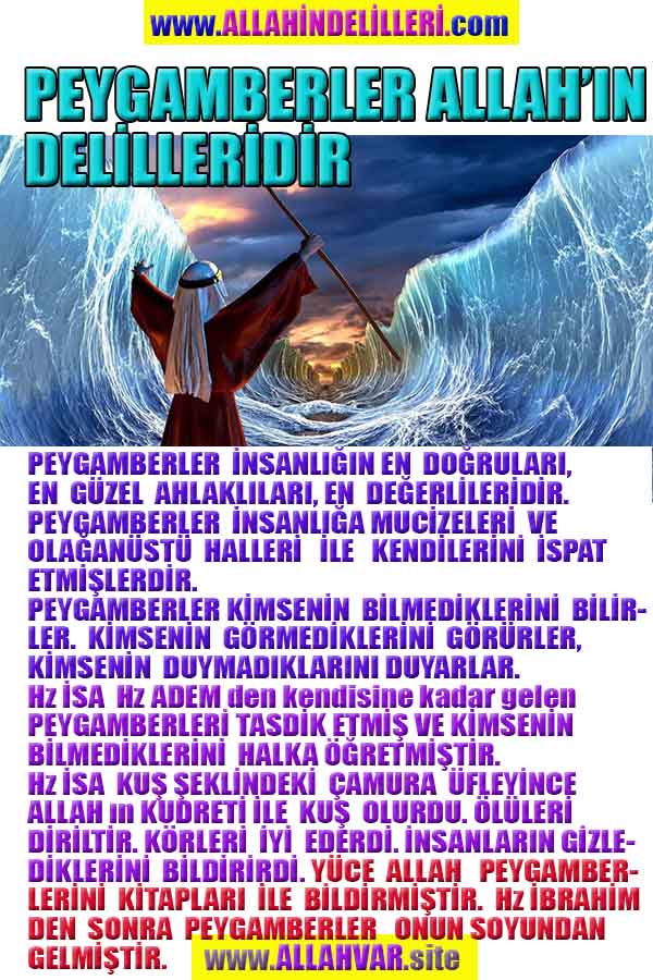 ALLAH, allah-delilleri, allahin-delilleri, allahin delilleri, allah in varlığının delilleri, allahin varlığınin delilleri, allah var, @allahvar, @allah-delilleri