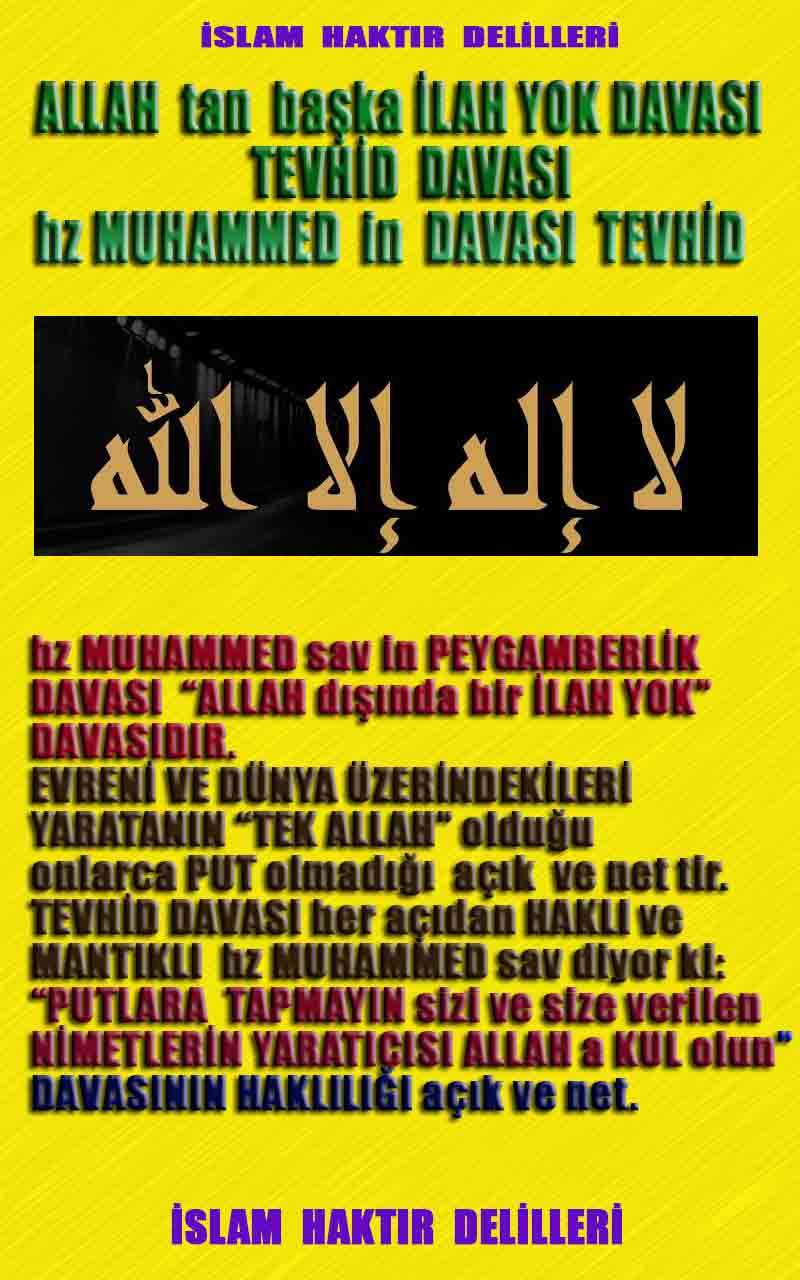 ALLAH, allah-delilleri, allahin-delilleri, allahin delilleri, allah in varlığının delilleri, allahin varlığınin delilleri, allah var, @allahvar, @allah-delilleri