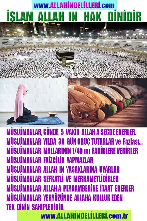 ALLAH, allah-delilleri, allahin-delilleri, allahin delilleri, allah in varlığının delilleri, allahin varlığınin delilleri, allah var, @allahvar, @allah-delilleri