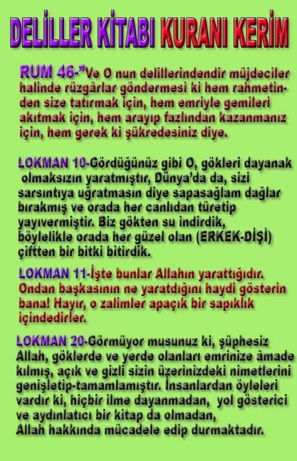 ALLAH, allah-delilleri, allahin-delilleri, allahin delilleri, allah in varlığının delilleri, allahin varlığınin delilleri, allah var, @allahvar, @allah-delilleri