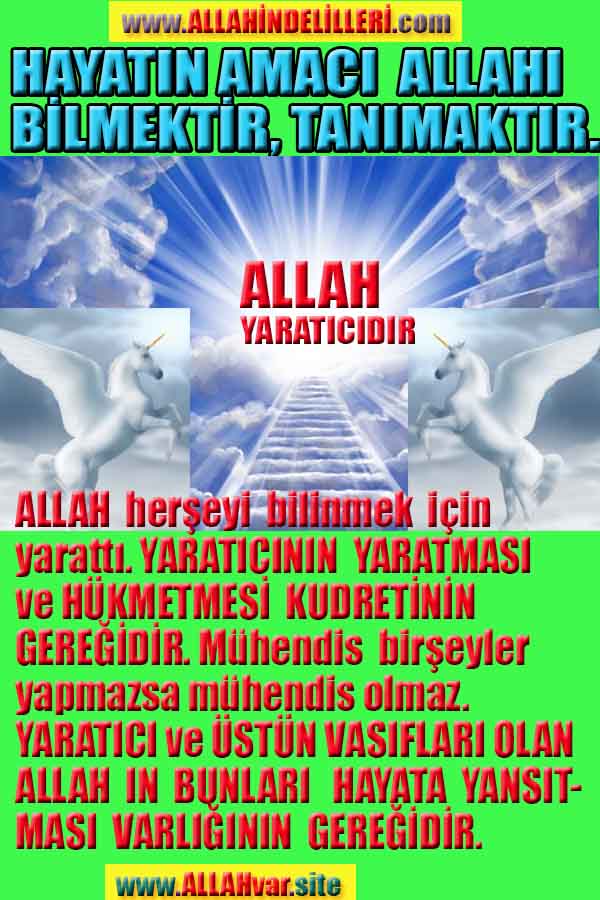 ALLAH, allah-delilleri, allahin-delilleri, allahin delilleri, allah in varlığının delilleri, allahin varlığınin delilleri, allah var, @allahvar, @allah-delilleri