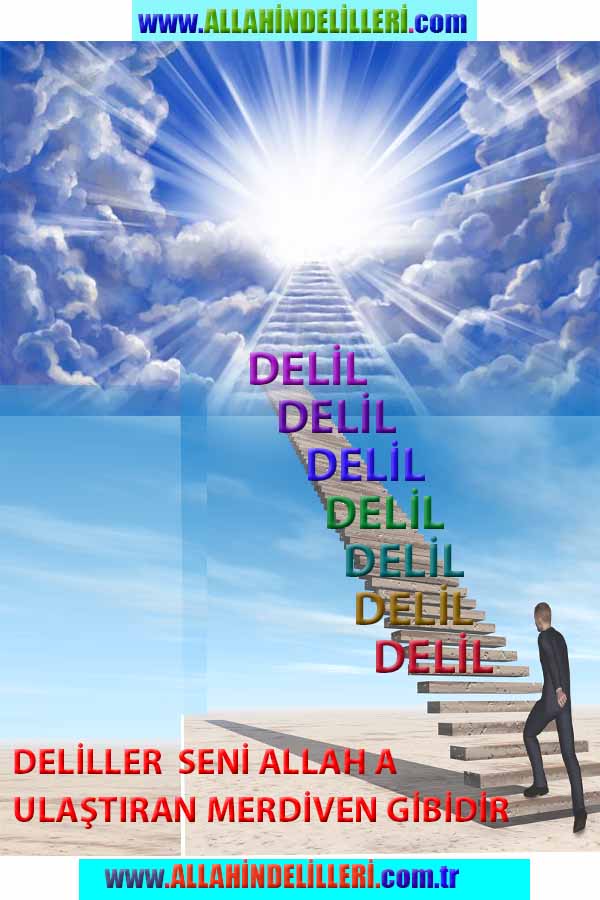 ALLAH, allah-delilleri, allahin-delilleri, allahin delilleri, allah in varlığının delilleri, allahin varlığınin delilleri, allah var, @allahvar, @allah-delilleri