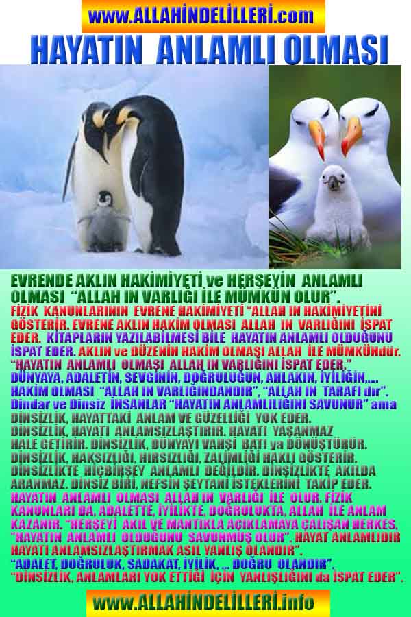 ALLAH, allah-delilleri, allahin-delilleri, allahin delilleri, allah in varlığının delilleri, allahin varlığınin delilleri, allah var, @allahvar, @allah-delilleri